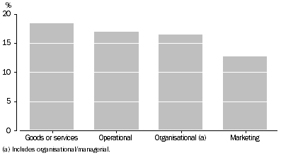 Graph: PROPORTION OF BUSINESSES WHICH INTRODUCED INNOVATION, by type, 2006–07