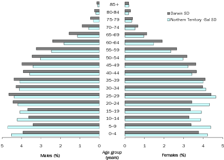 Diagram: AGE AND SEX DISTRIBUTION (%), Northern Territory—30 June 2009