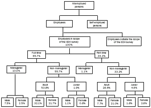 Diagram: Employee proportions