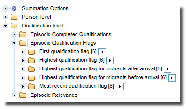 Image: Details of Qualification Flags