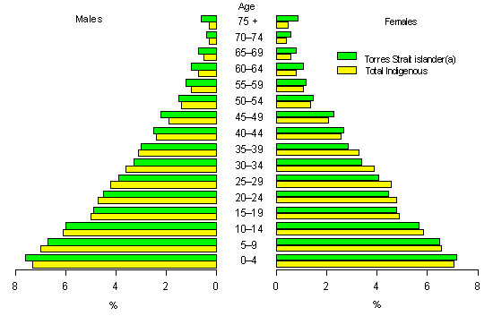 Experimental estimated resident indigenous population - 30 June 1996