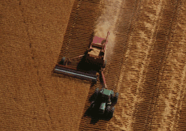 Harvesting grain