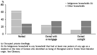 Graph: TENURE TYPE(a)