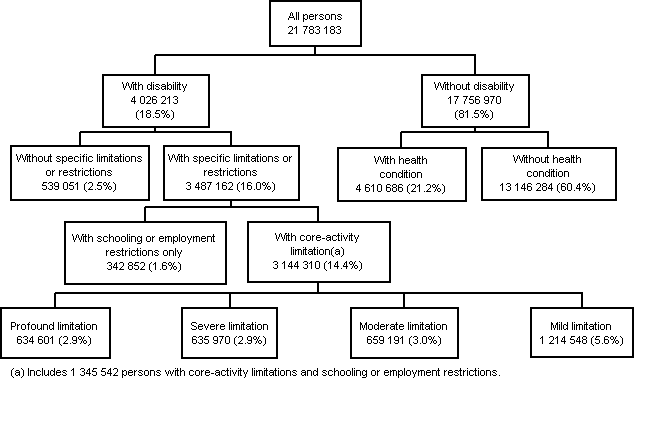 Diagram: DISABILITY