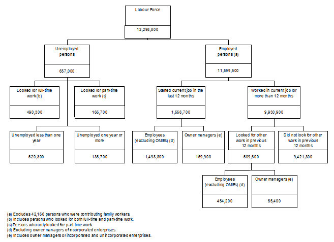 Conceptual Framework