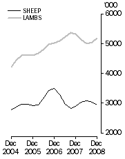 Graph: Sheep and lamb slaughterings Trend