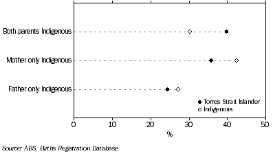 Graph: Indigenous status of parents — 2001–03, Torres Strait Islander and Indigenous registered births