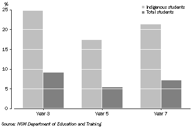 Graph: Government school students not meeting numeracy benchmarks, NSW—2006