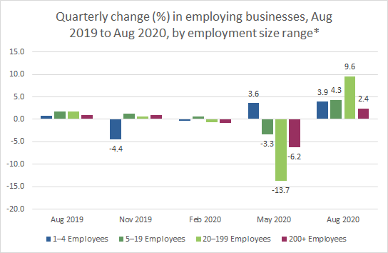 Graph:Quarterly cahnge (%) in employing business, Aug 2019 to Aug 2020, by employment size range