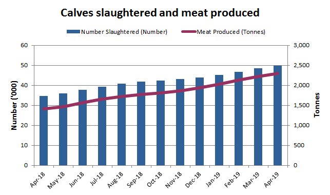 Image: Graph showing number of calves slaughtered and veal produced over a one year period