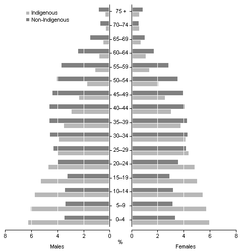 Graph shows that the Aboriginal and Torres Strait Islander population in the NT is much younger than the non-Indigenous population in the NT.