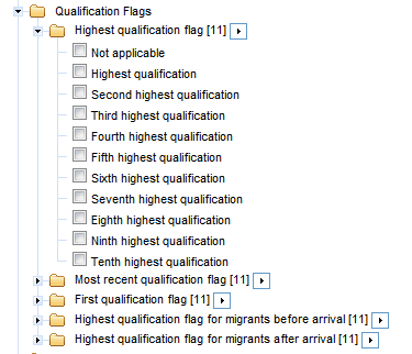 Picture: screen shot of qualification flags available on the file