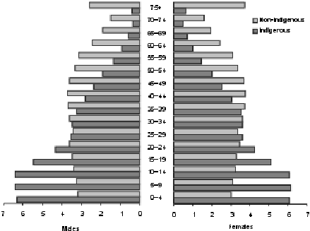 Diagram: 2.2 Estimated resident population, by Indigenous status and age, 2006 (preliminary)