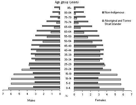 Diagram: Preliminary Aboriginal and Torres Strait Islander and non-Indigenous populations—30 June 2011