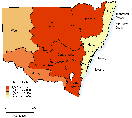 Map of sheep and lambs, at 30 June 2007