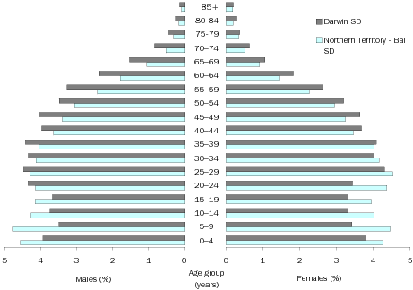 Diagram: Age and sex distribution, percentage, NT, 2008