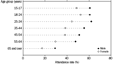 Graph: Sports Attendance, By age and sex