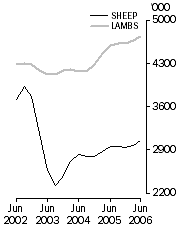 Graph: Sheep and lamb slaughterings Trend