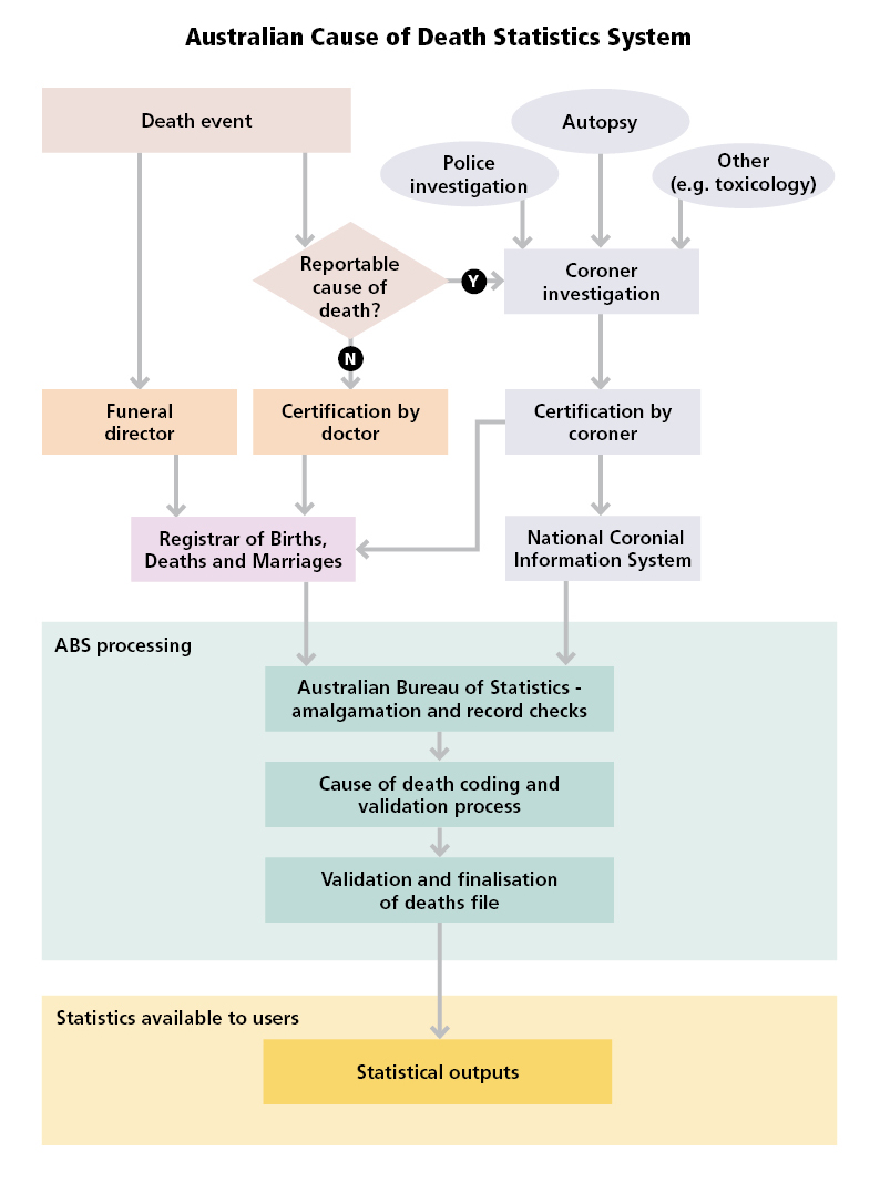 Diagram: Australian Cause of Death Statistics System