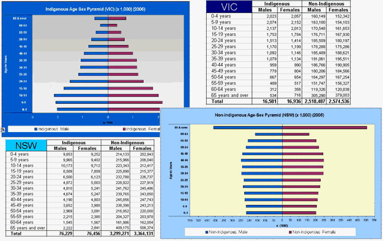 screen shots of data and age-sex pyramids