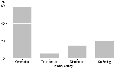 Graph: 2.1 Primary Activity of Electricity Supply Businesses, 2007-08