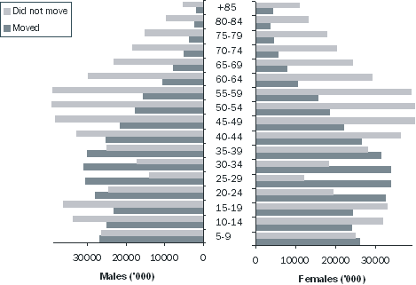 Diagram: Internal mover demographics