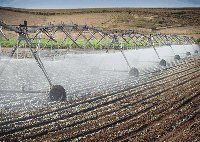 Image: Irrigator