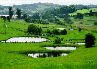 Image: Farm dams