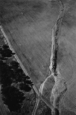 Photograph: Meckering earthquake