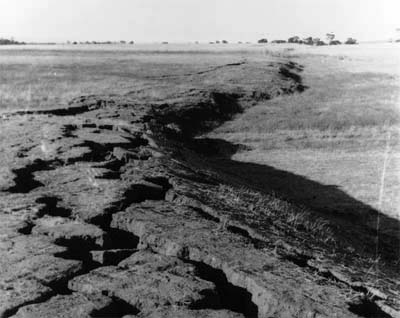 Photograph: Meckering earthquake