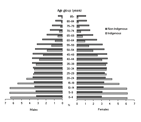 Age pyramid: Aboriginal and Torres Strait Islander and non-Indigenous populations by detailed age groups and sex, June 2006