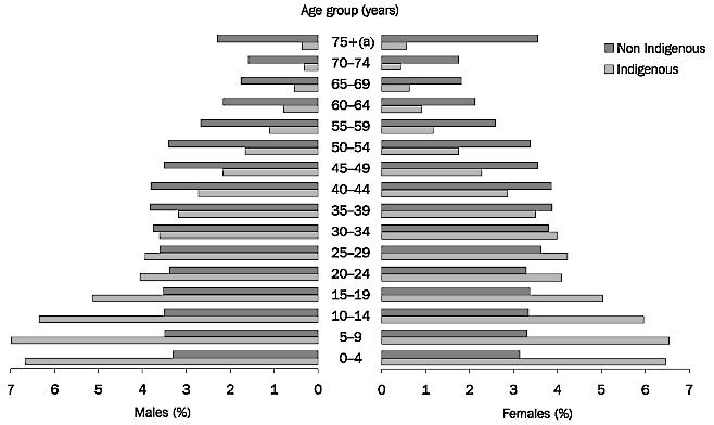 Graph 5.21: AGE DISTRIBUTION OF THE INDIGENOUS AND NON-INDIGENOUS POPULATION - 30 June 2001