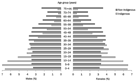 Graph 5.27: AGE DISTRIBUTION OF THE INDIGENOUS AND NON-INDIGENOUS POPULATION - 30 June 2001