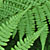 Image: Environment - includes: Air Quality, Water Resources, Water Quality Image: Environment