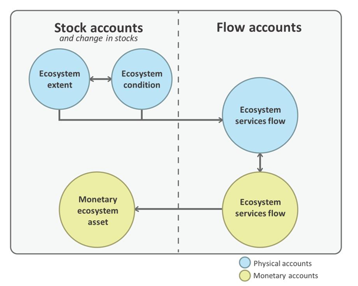 A diagram shows an ecosystem accounting system with Stock accounts (left) and Flow accounts (right). Blue circles represent physical accounts, and yellow circles represent monetary accounts. Ecosystem extent and condition (blue) connect to Ecosystem services flow (blue and yellow), which links to the Monetary ecosystem asset stock account (yellow). The diagram highlights the relationship between ecosystem stocks (extent and condition) and flows (services), emphasizing physical and monetary aspects.