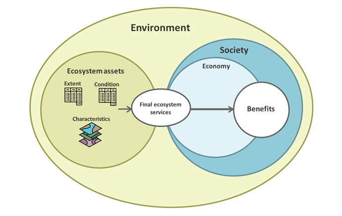 A diagram with overlapping circles shows the relationship between the environment, ecosystem assets, society, and the economy. The largest circle, Environment, contains Ecosystem assets and Society. Economy is a subset of Society. Ecosystem assets include Extent, Condition, and Characteristics, pointing to Final ecosystem services, which overlap with Economy and Society. An arrow from Final ecosystem services leads to Benefits within Society and Economy, highlighting their connection to ecosystem assets.