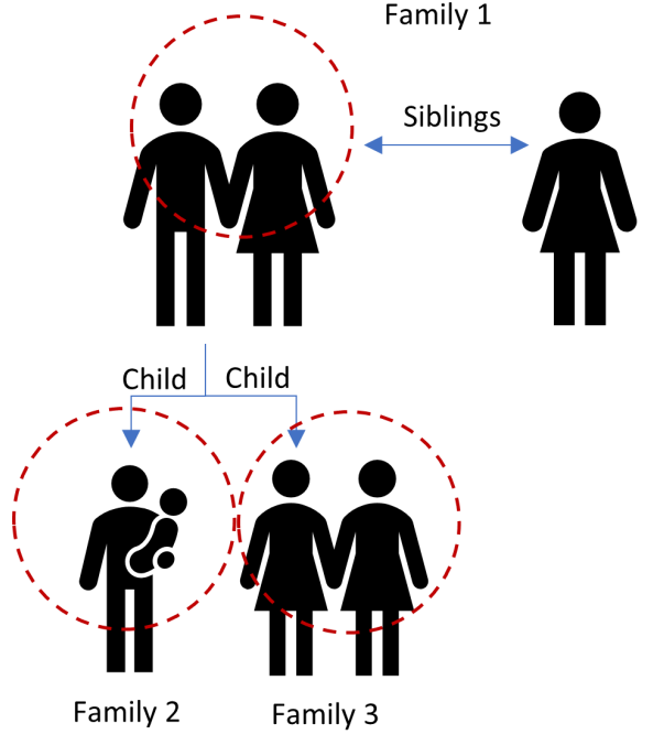 An example of a complex family with three family nuclei within the household. 