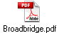 Broadbridge.pdf